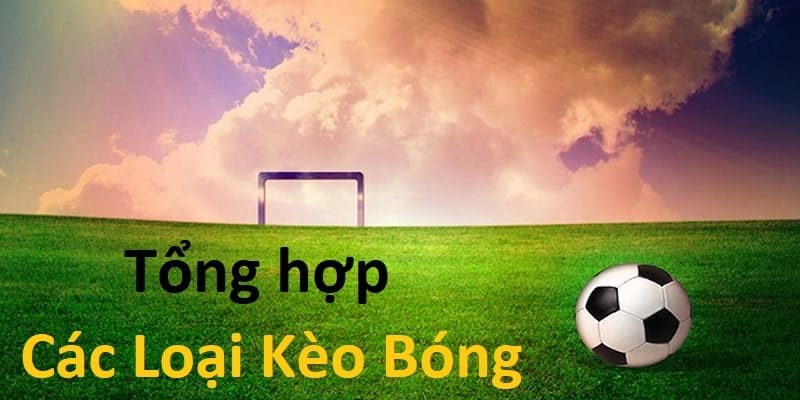 Các loại kèo bóng hay được sử dụng nhất